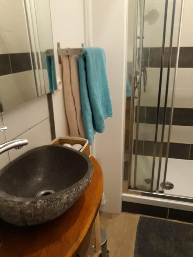 Le Langevin - Appartement Troyes Centre Екстер'єр фото